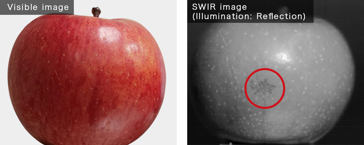 Apple comparison image
